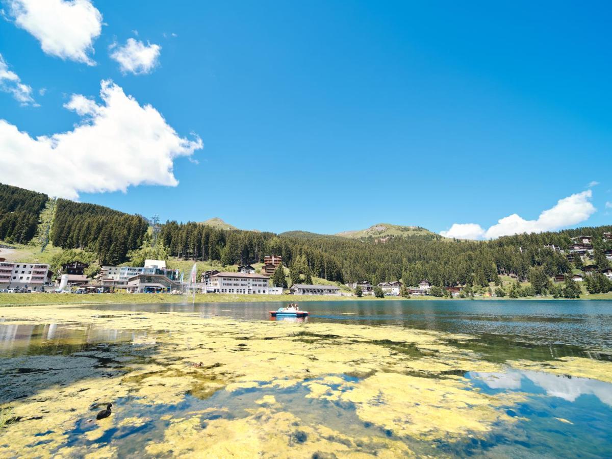 Haus Padrun 3 By Arosa Vacations Daire Dış mekan fotoğraf